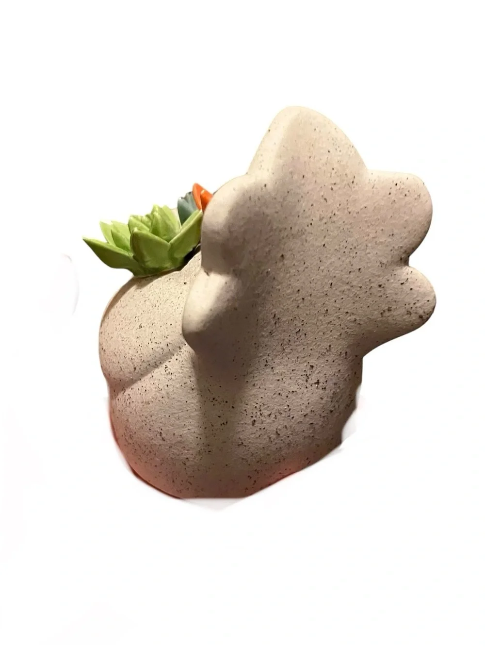 Ceramic Bird figurine in Matt natural speckled finish Colorful Succulent Accents